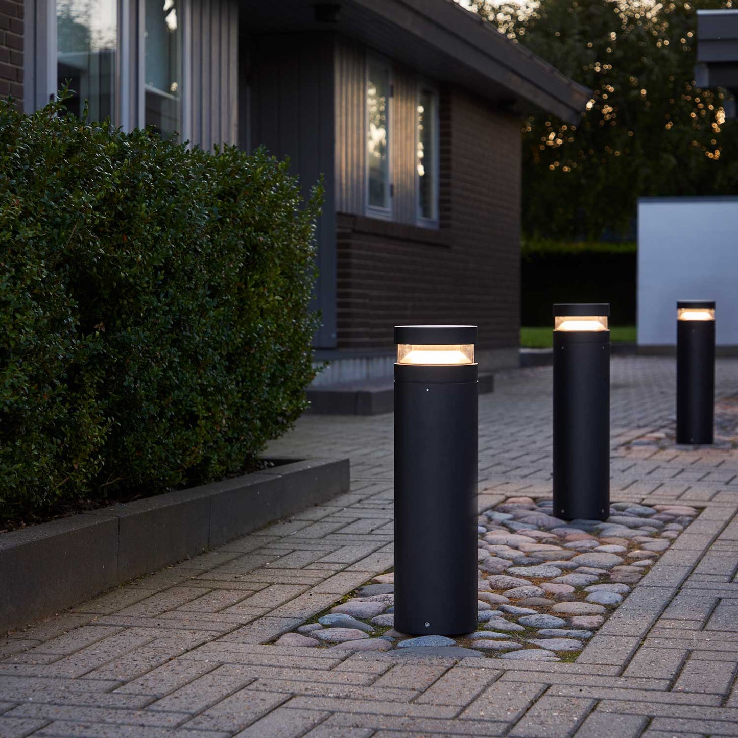 Baldur pullert fra Loom design