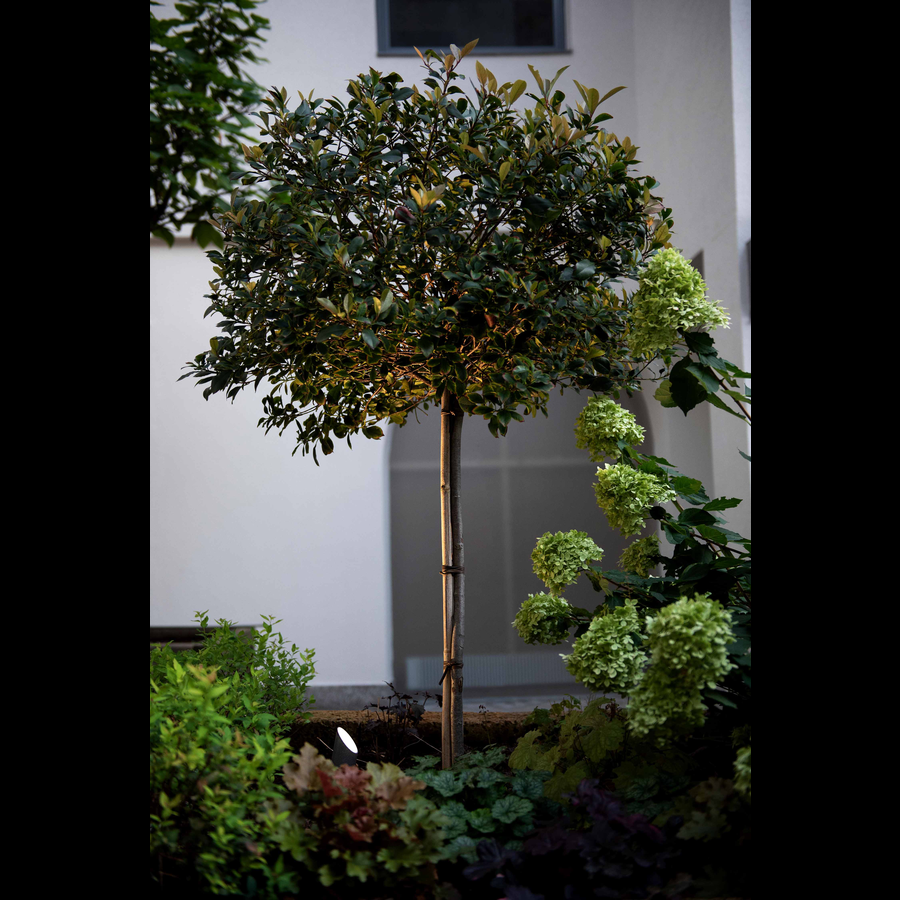 Stipo 3,0 spot Wever & Ducré