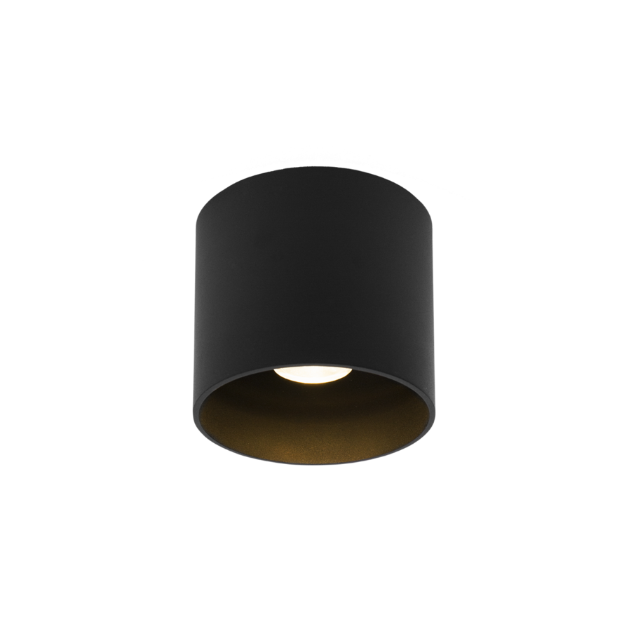 Ray outdoor loftlampe Wever & Ducré