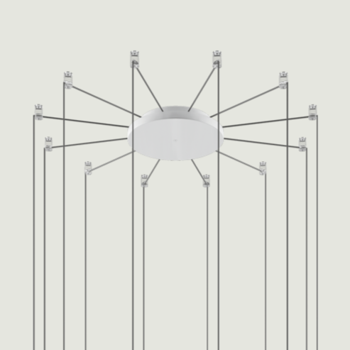 radial 12