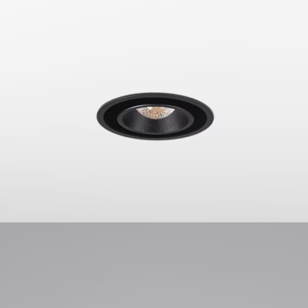 Maxime R IN downlight Ø100 mm Chors
