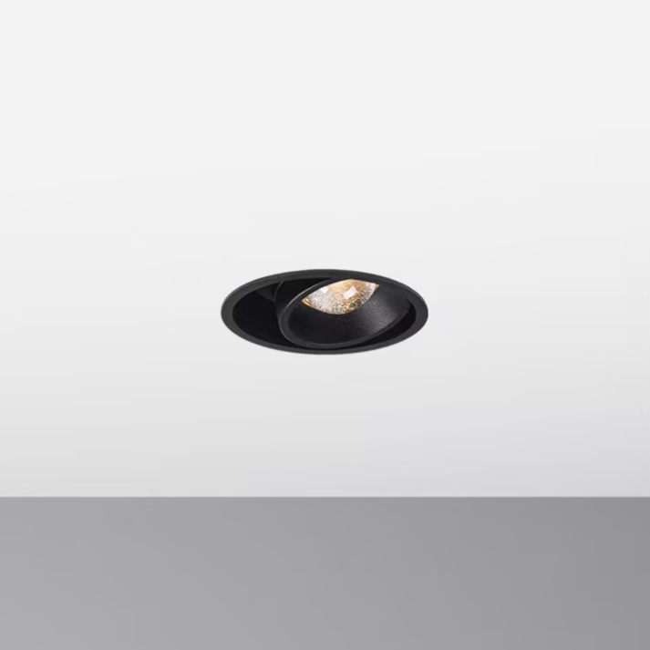 Maxime R IN downlight Ø100 mm Chors