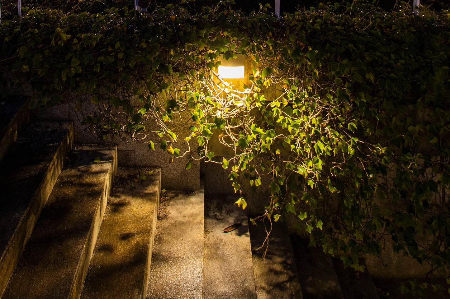 Walky firkantet indbygnings væglampe Iguzzini