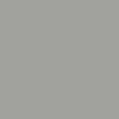 ral9006_01