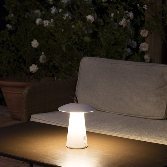 LED transportable bordlampe