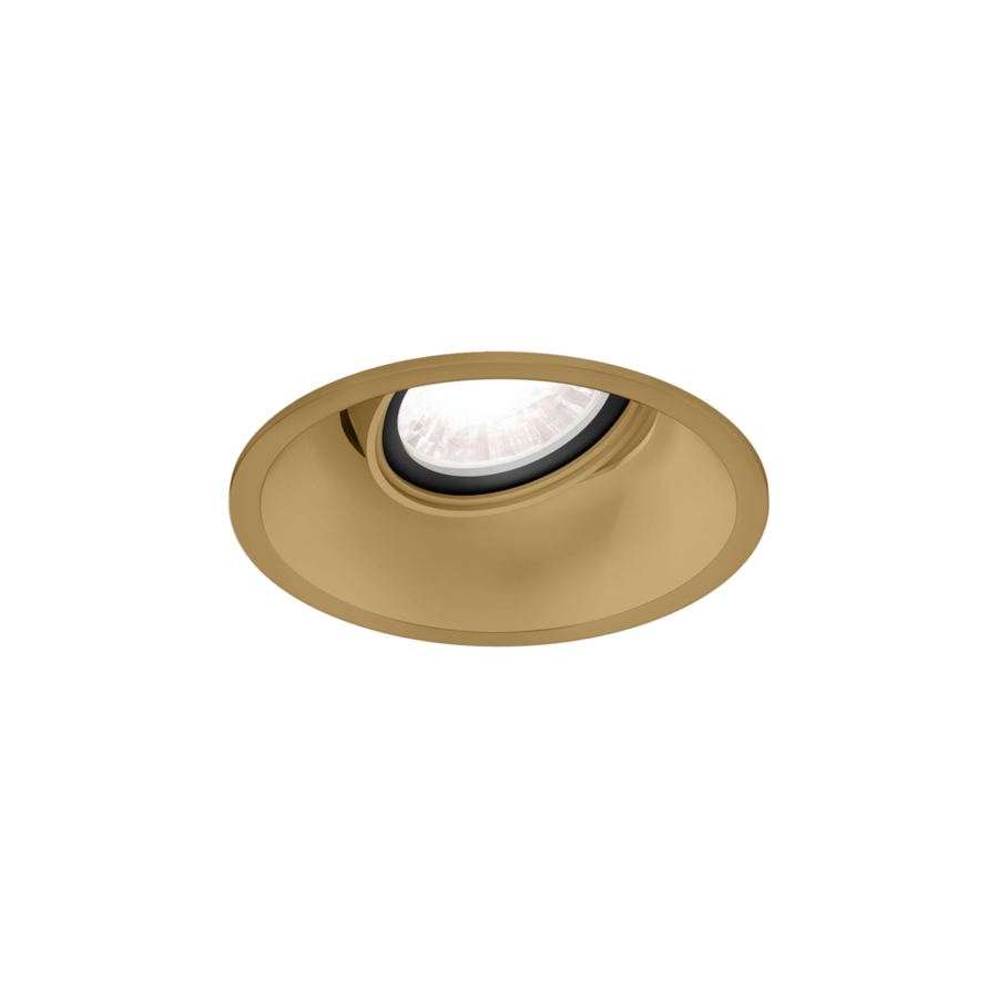 Deep Adjust downlight Wever & Ducré