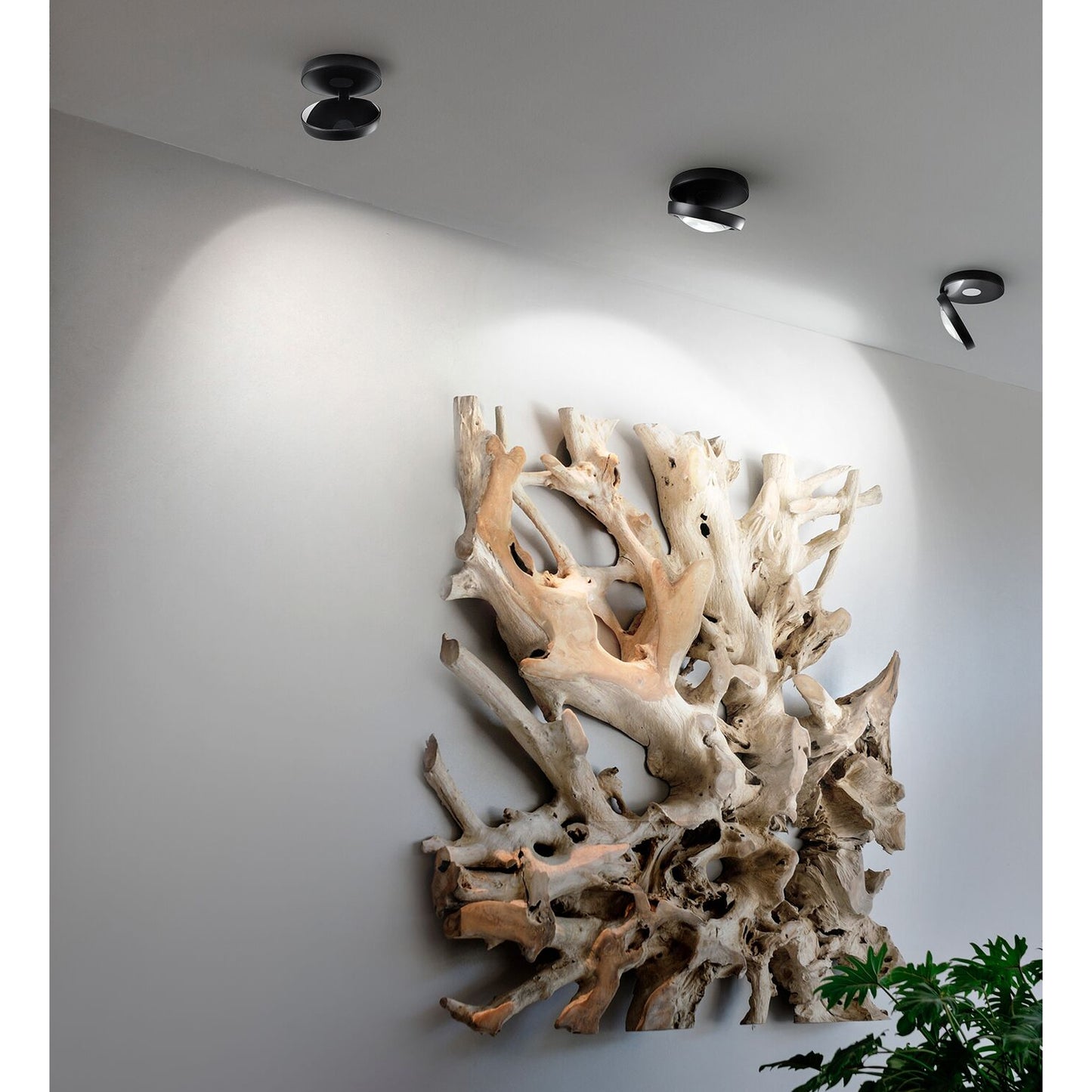 Nautilus loftlampe Lodes