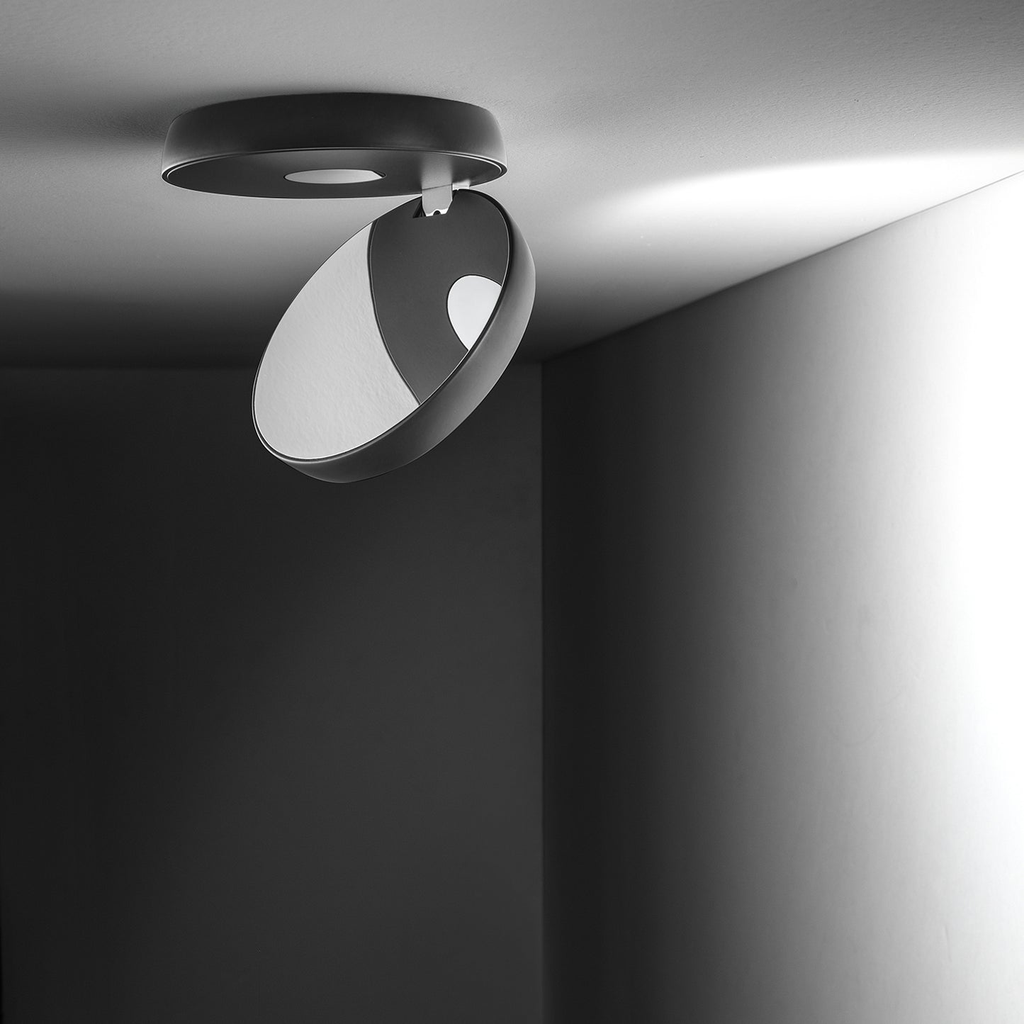 Nautilus loftlampe Lodes