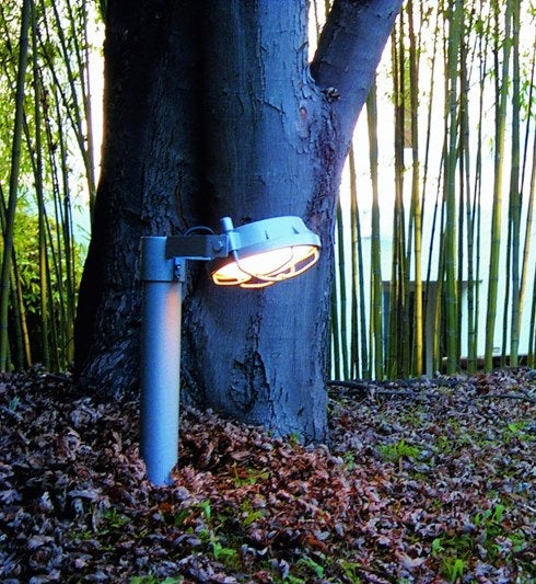 Out pullert fra Martinelli Luce