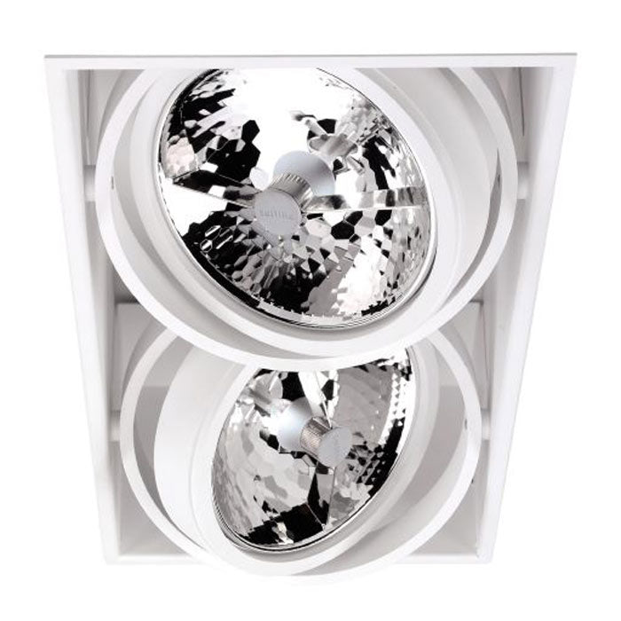 Spinner downlight x 2