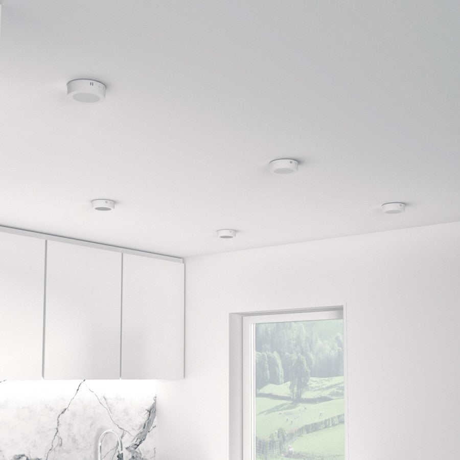Socorro loftlampe Rendl lighting