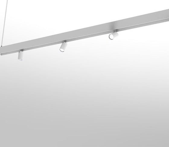 Riccio pendel fra Martinelli Luce