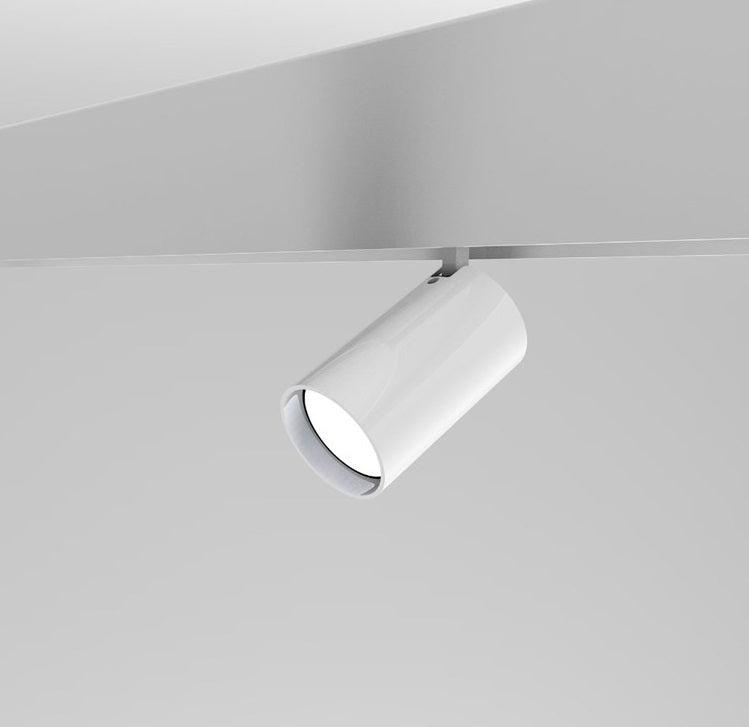 Riccio pendel fra Martinelli Luce