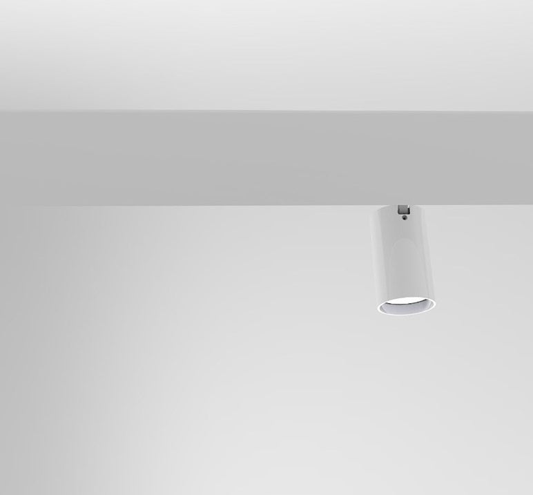 Riccio pendel fra Martinelli Luce