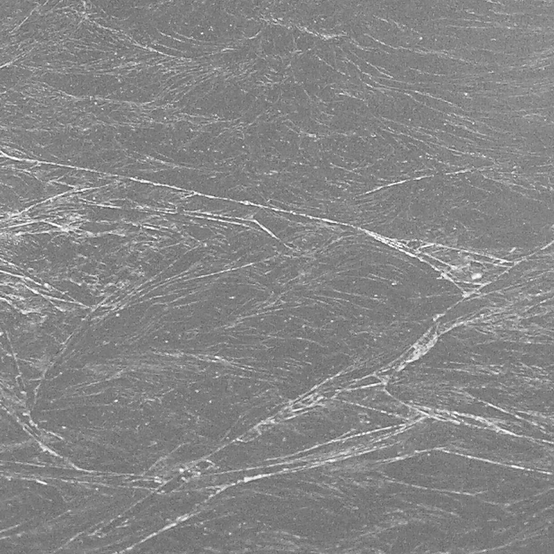 closeúp billede af blad sølv fra Catellani & Smith