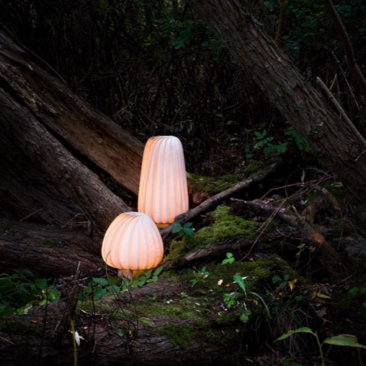 ST906 25x47 cm og 23 x 31 cm birk natural bordlampe