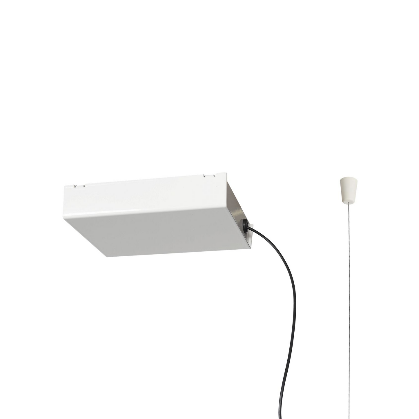 Loftrosette vist fra D81B Compendium pendel fra Luce Plan
