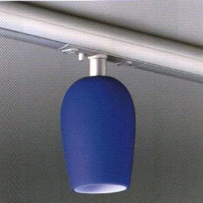 Sally skinnespot Oligo