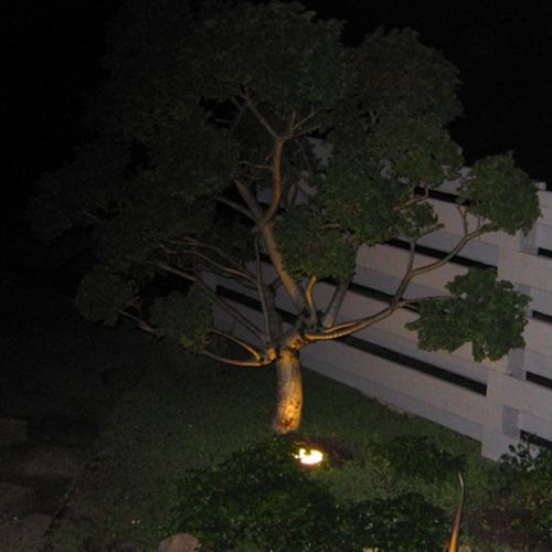 Muldvarp nedgravningsspot David Super Light