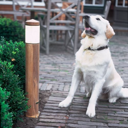 Northpole pullert the royal botania