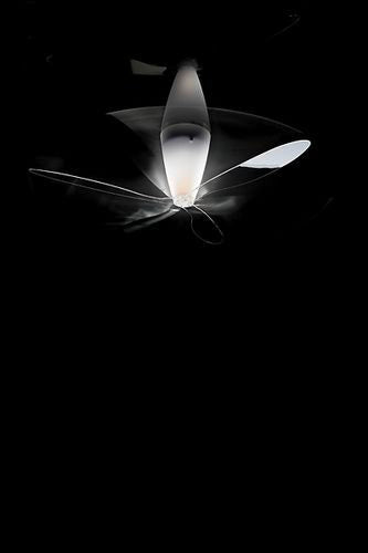 Blow D28 loftlampe Luce Plan