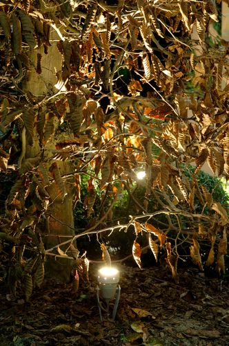 Ufo T1031 Spot PSM Lighting