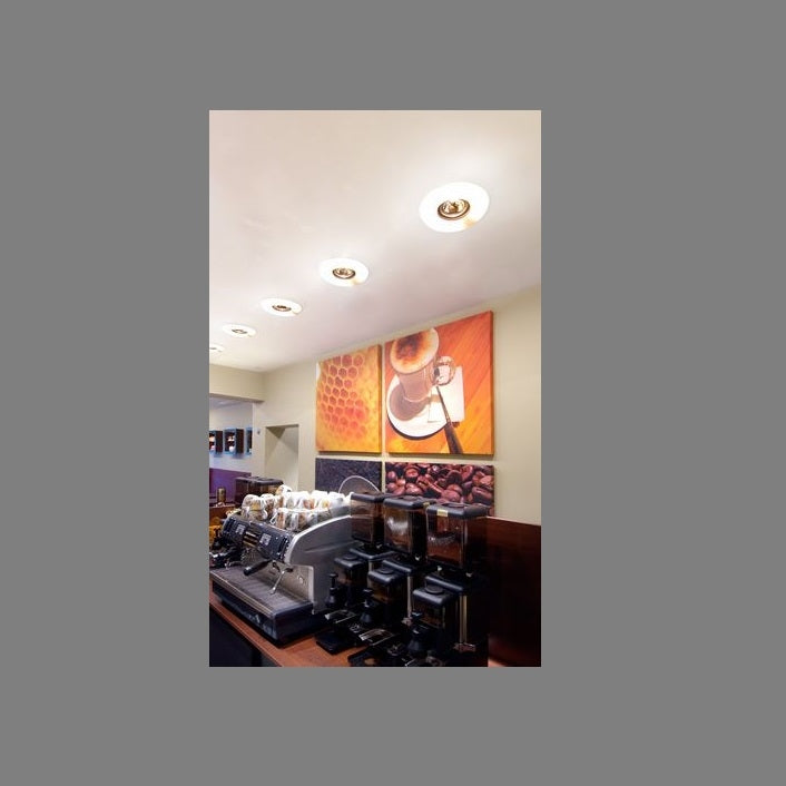 Quorum downlight psm lighting