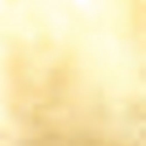 Hvid