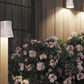 Beacon Teak pullert Royal Botania