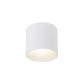 Ray outdoor loftlampe Wever & Ducré