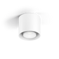Ray outdoor loftlampe Wever & Ducré