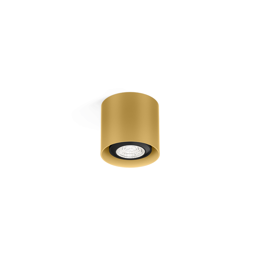 Ray mini 1,0 loftlampe Wever & Ducré guld