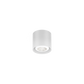 Ray mini 1,0 loftlampe Wever & Ducré hvid