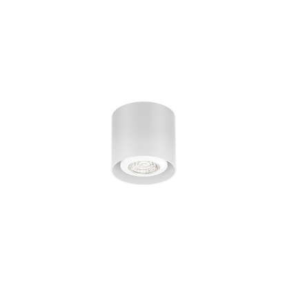 Ray mini 1,0 loftlampe Wever & Ducré hvid