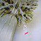 Creatures moss pendel Slamp (outlet)