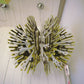 Creatures moss pendel Slamp (outlet)