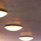 Trama D14 api  væglampe loftlampe Luceplan